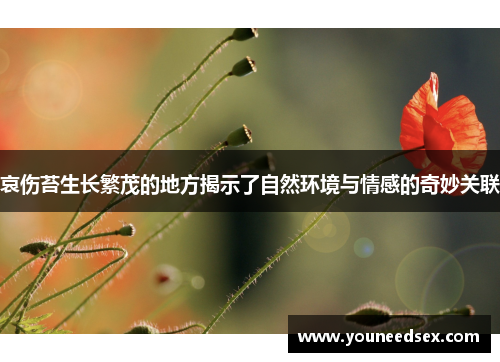 哀伤苔生长繁茂的地方揭示了自然环境与情感的奇妙关联