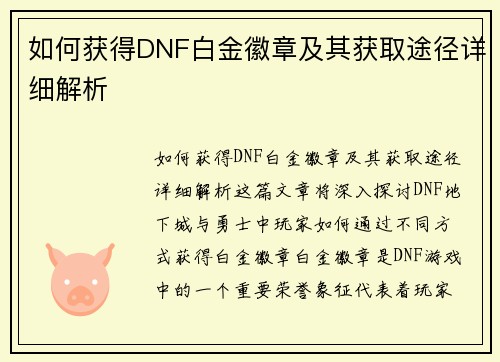 如何获得DNF白金徽章及其获取途径详细解析